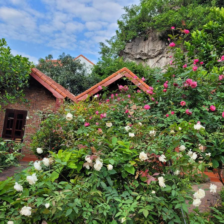 Tam Coc Mountain Lake Homestay Ninh Binh Luaran gambar